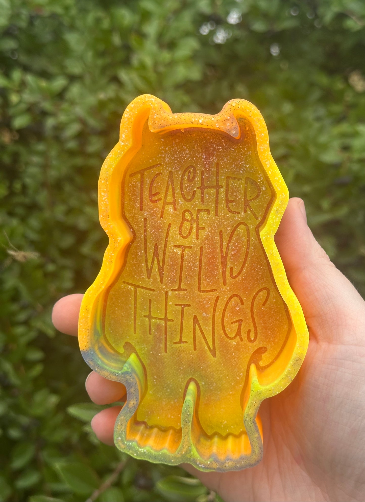 Teacher of Wild Things