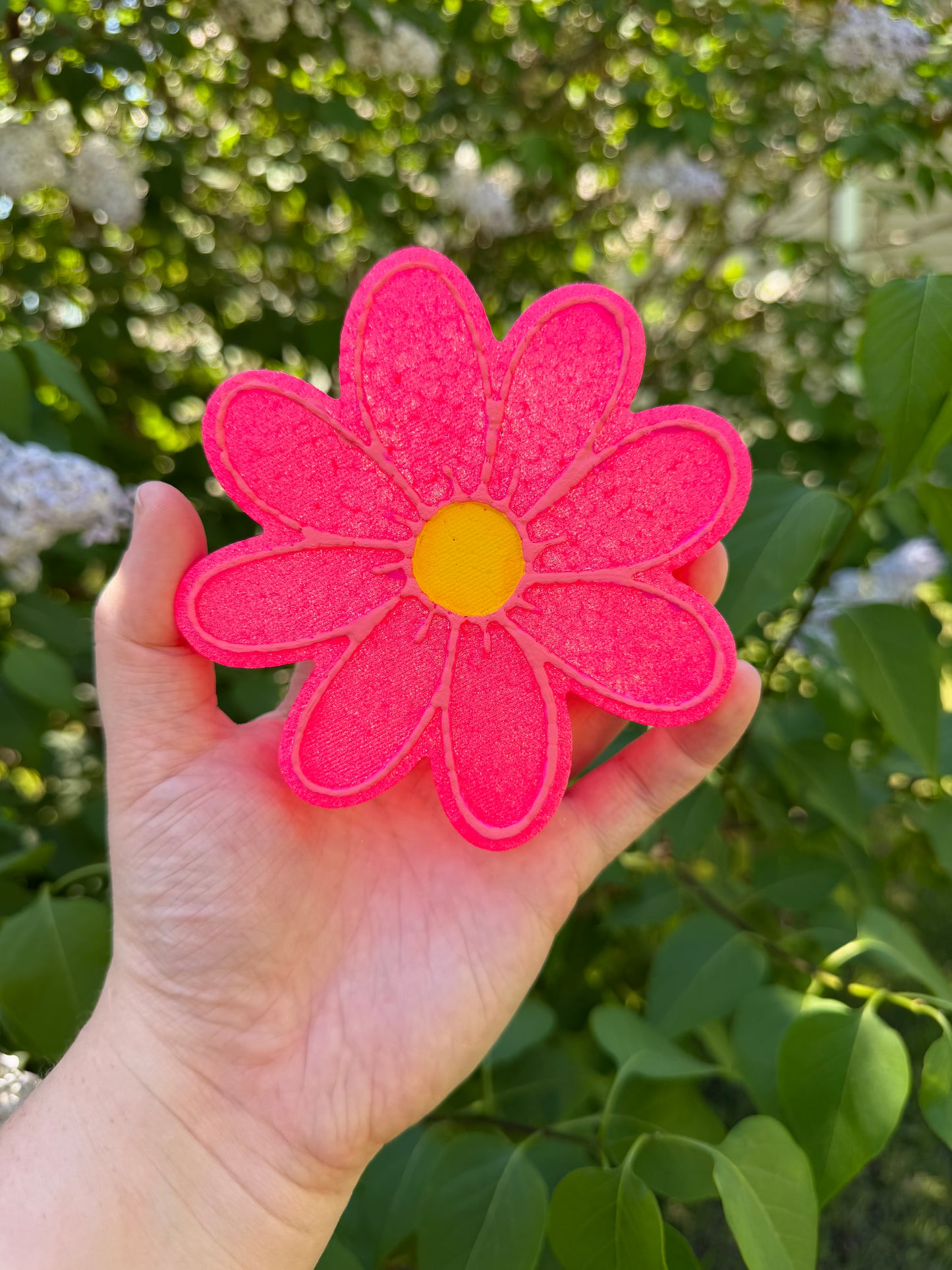 Pink Daisy