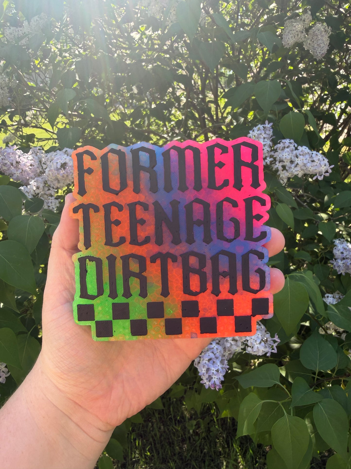 Former Teenage Dirtbag