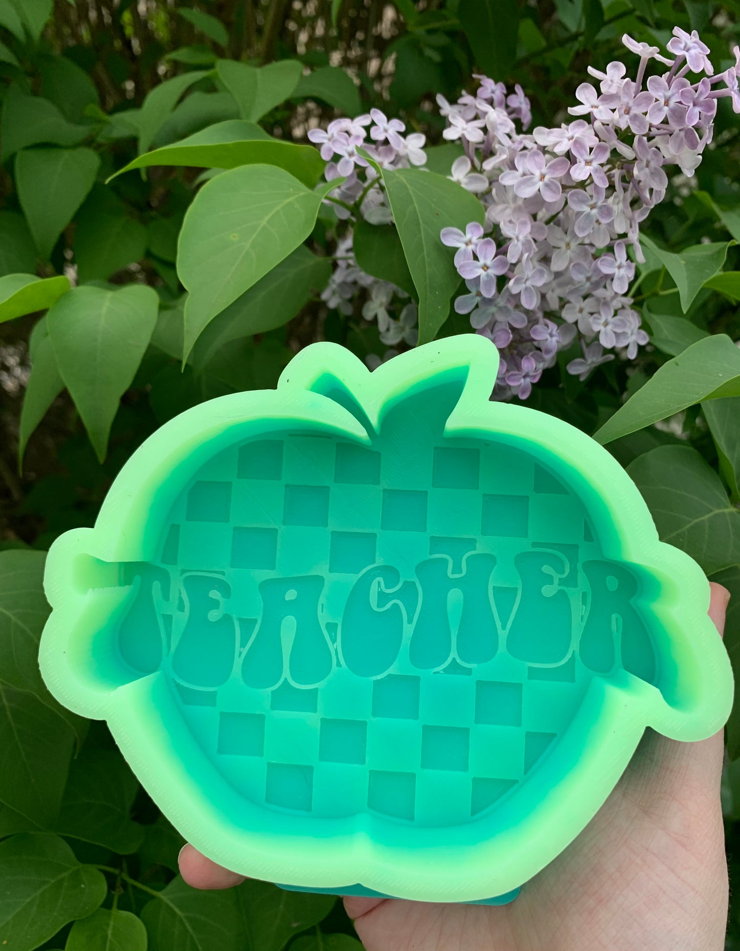 Teacher Apple