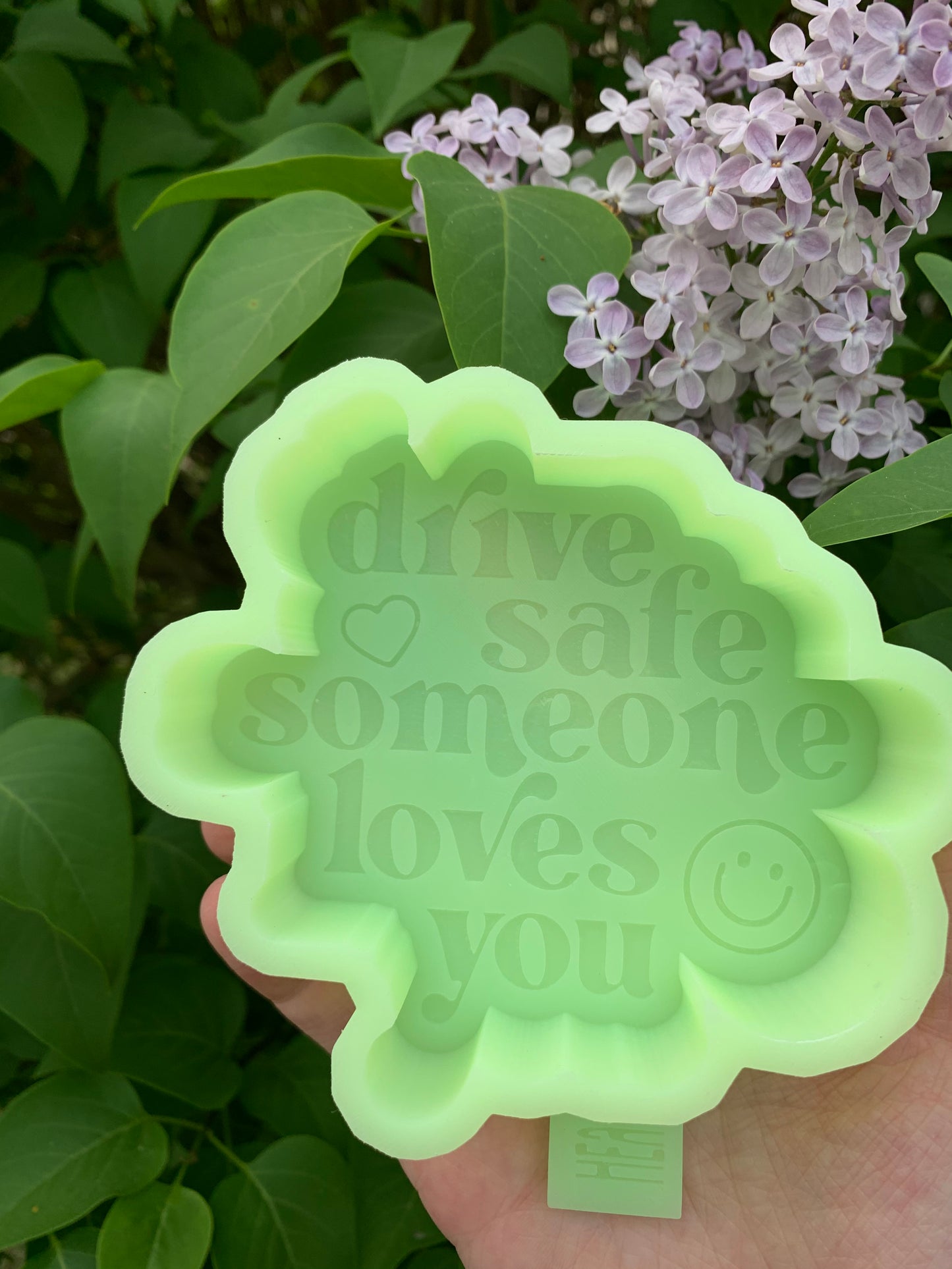 Drive Safe Someone Loves You