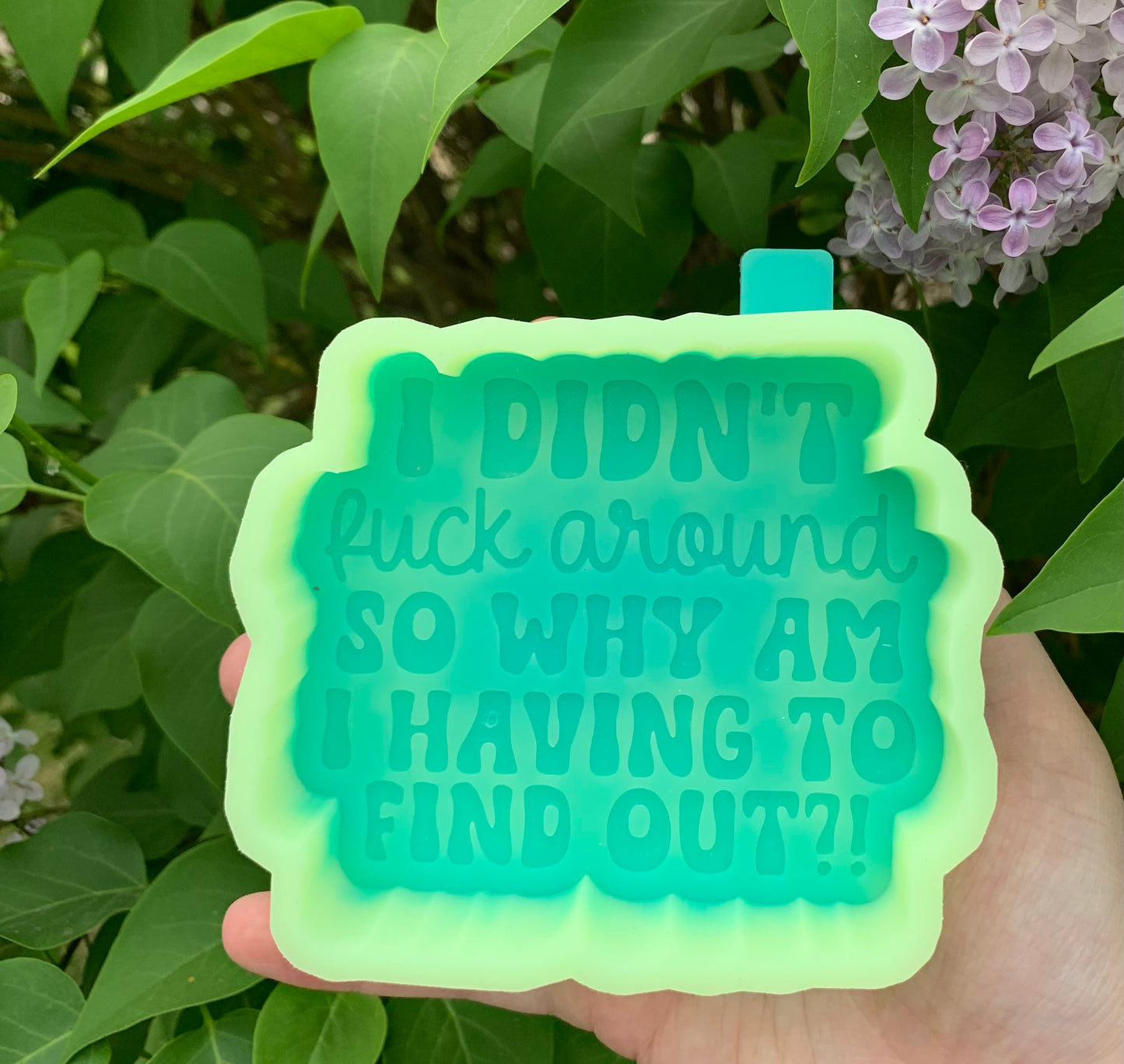 I Didn’t F-around So Why Am I Finding Out