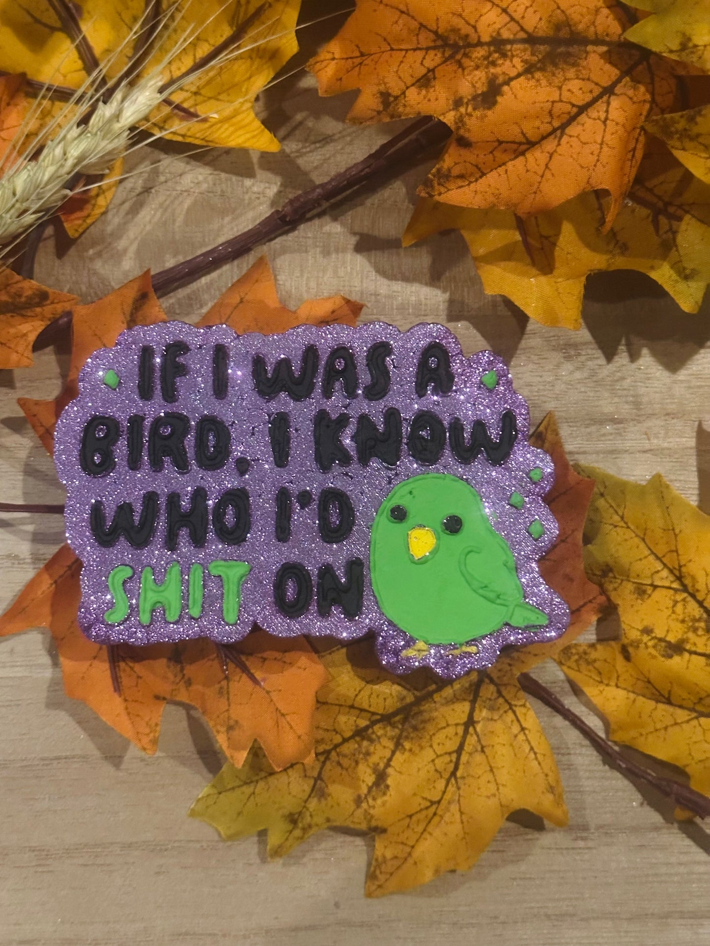 If I was a bird, I know who I’d s**t on
