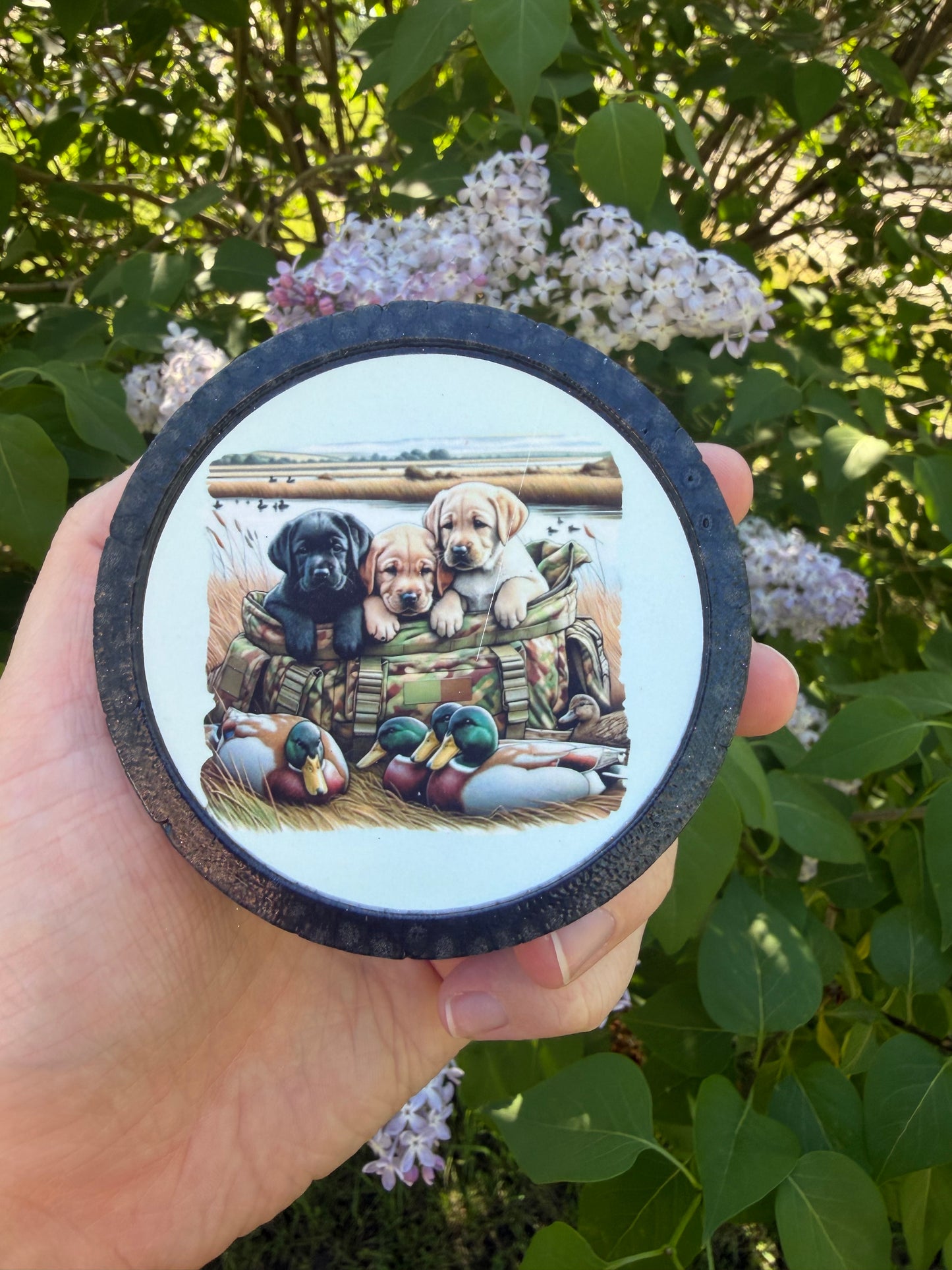 Hunting Dogs