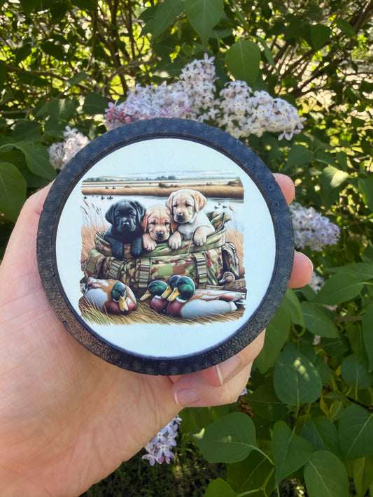 Hunting Dogs