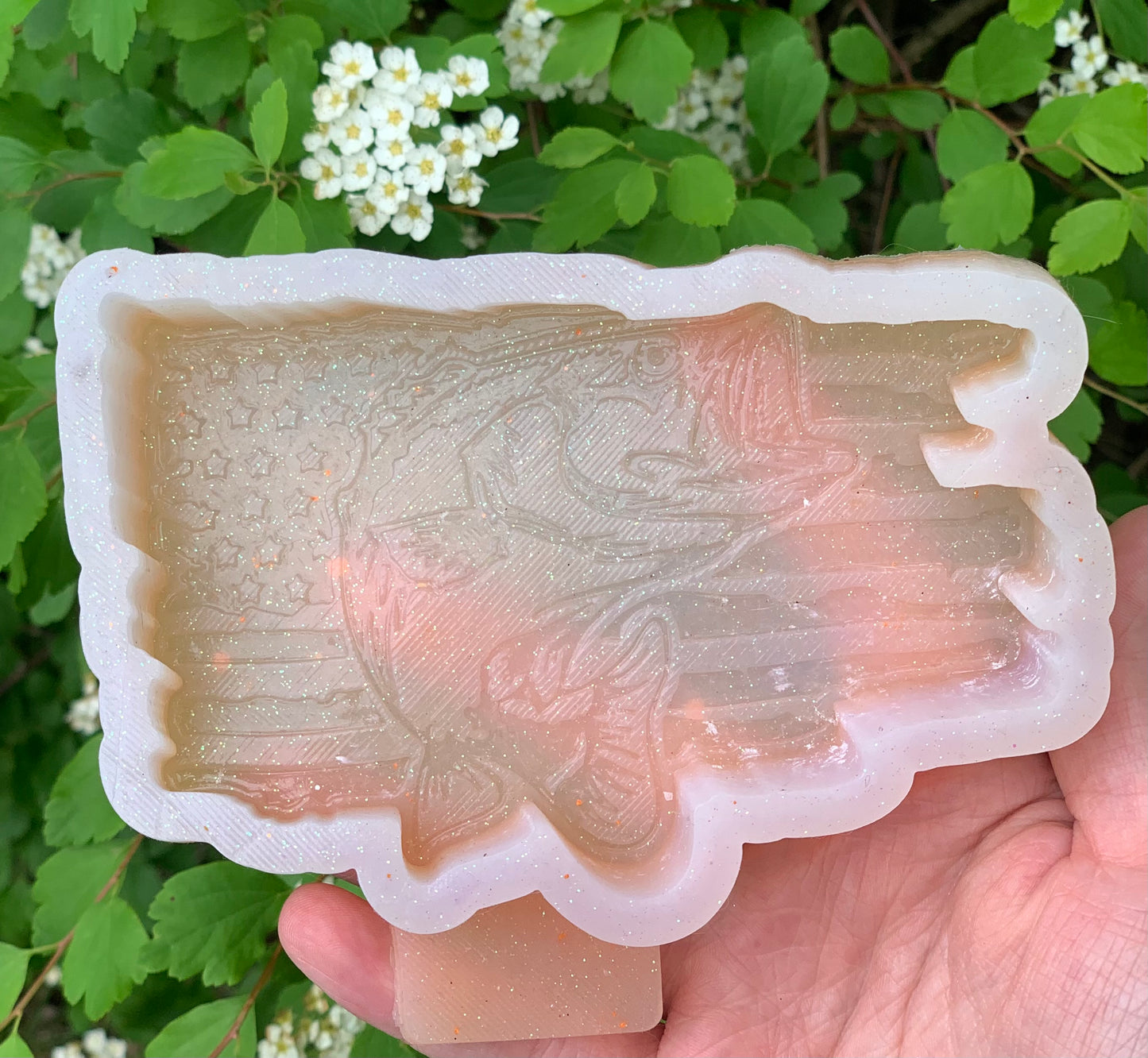 American Flag with Fish