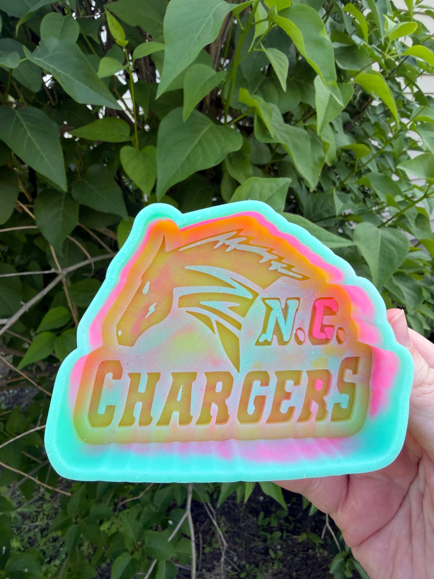 Nelson County Chargers