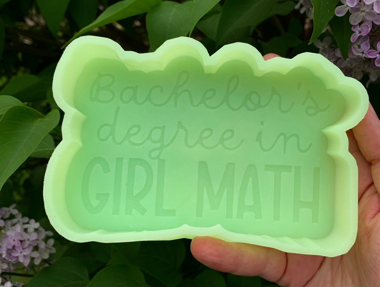 Bachelors Degree in Girl Math