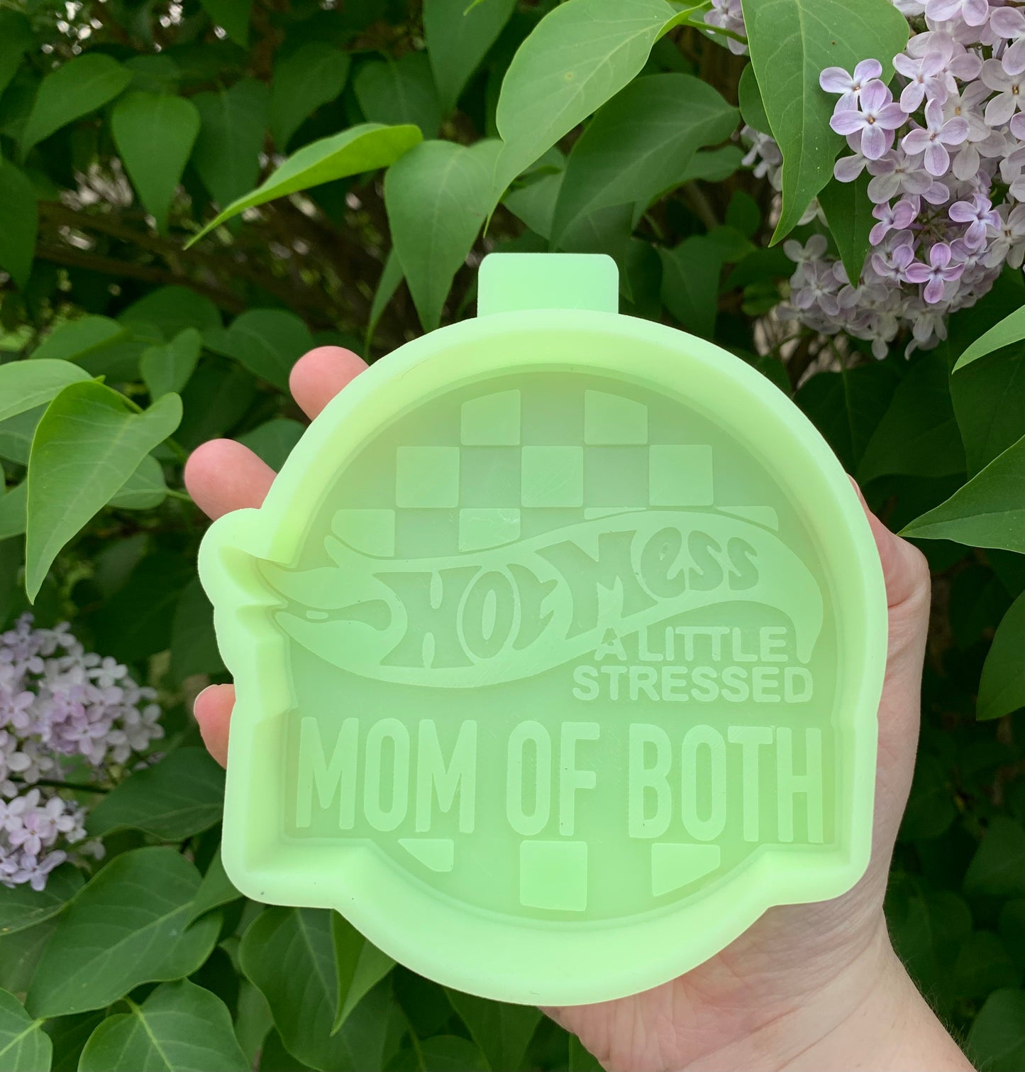 Hot Mess a Little Stressed Mom of Both