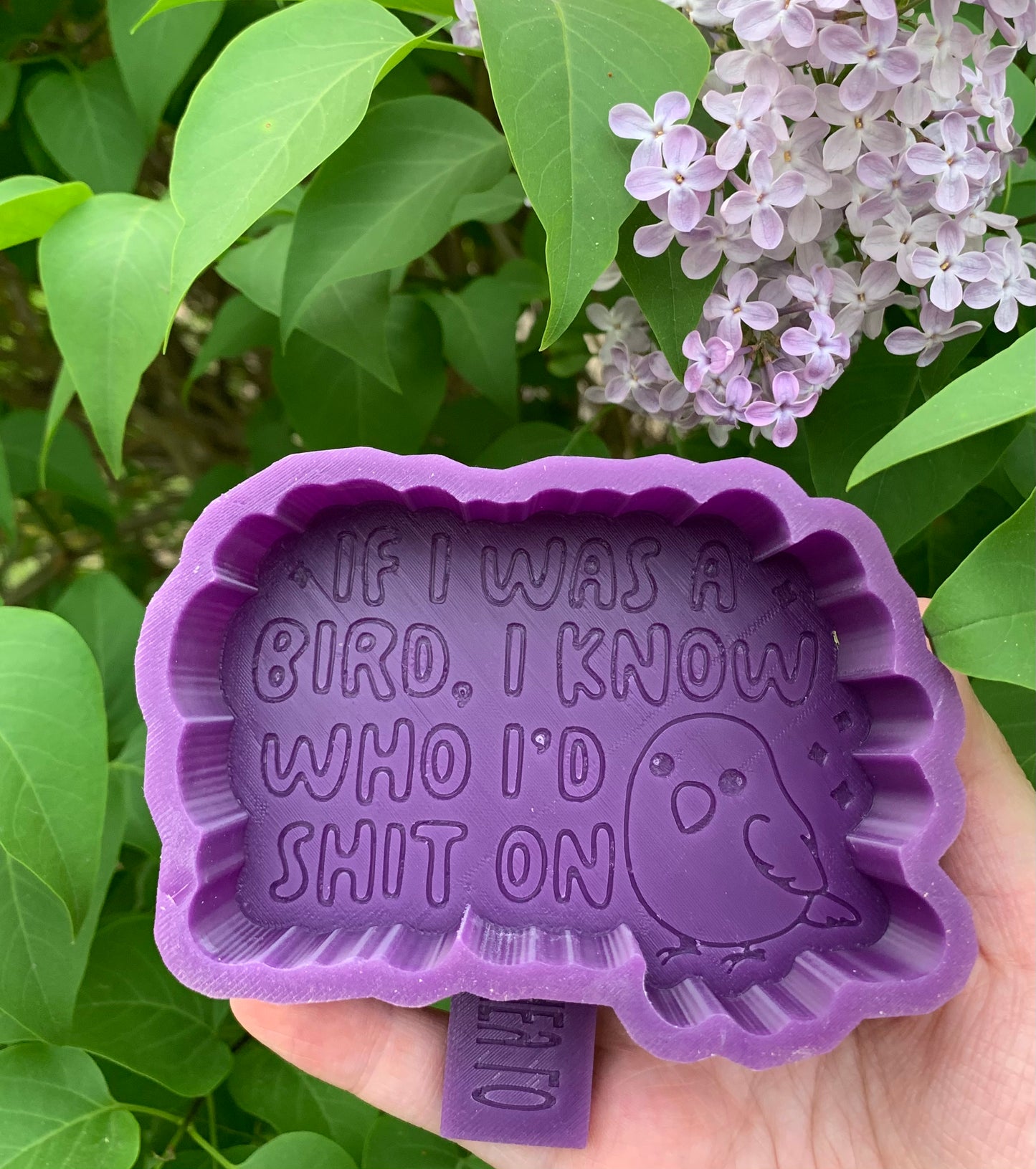 If I Were a Bird, I Know Who I’d S**t On