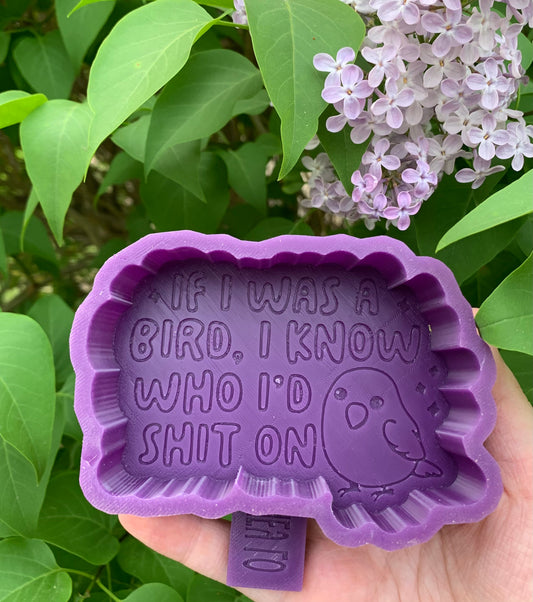 If I Were a Bird, I Know Who I’d S**t On